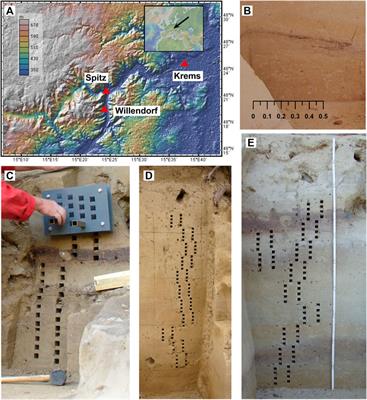 Magnetic Susceptibility Properties of Loess From the Willendorf Archaeological Site: Implications for the Syn/Post-Depositional Interpretation of Magnetic Fabric